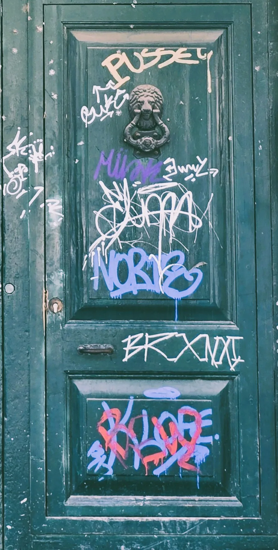 Old door full of grafity